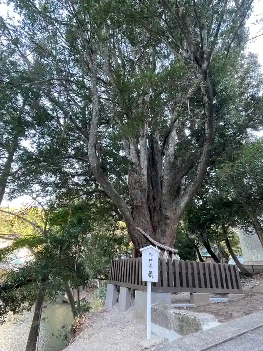 安房神社(千葉県)