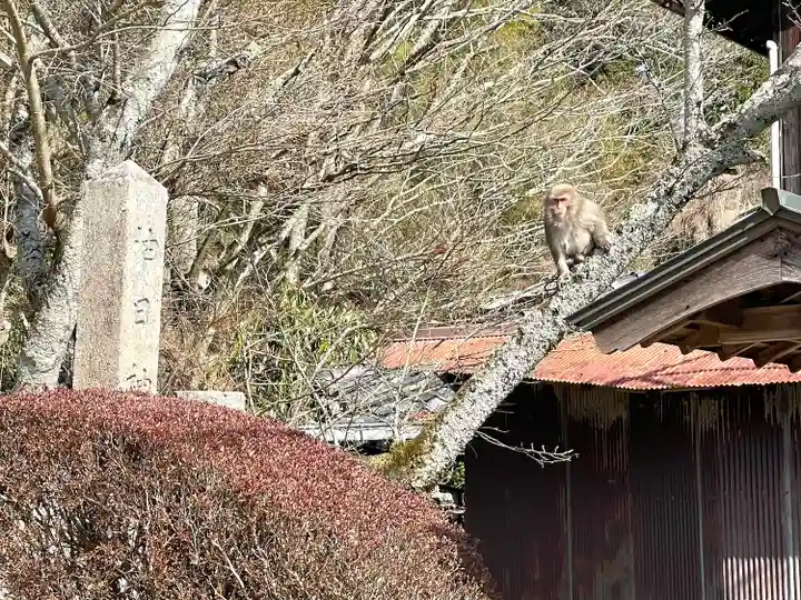 油日神社(滋賀県)