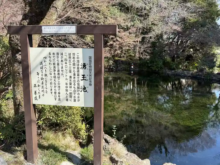 富士山本宮浅間大社(静岡県)