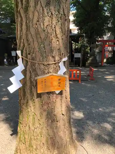 田無神社の自然