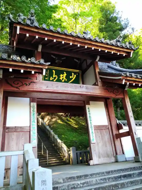 達磨寺(群馬県)