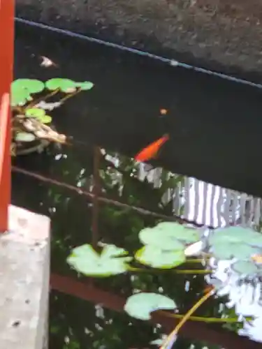 尾曳稲荷神社の庭園