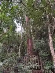 八重垣神社(島根県)