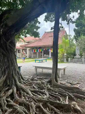 桃林寺(沖縄県)