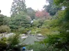 青蓮院門跡の庭園