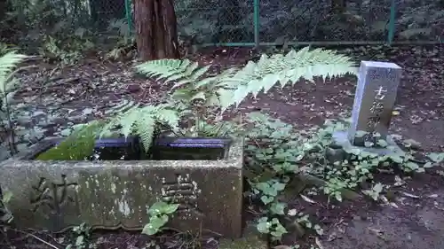 古徳神社の手水舎