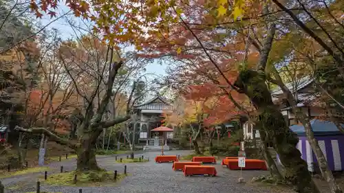 常照寺(京都府)