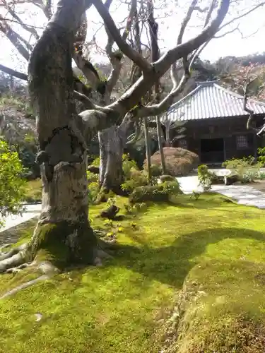 海蔵寺の庭園