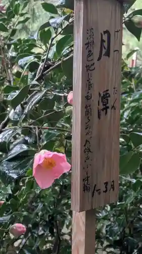 城南宮(京都府)