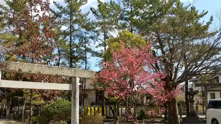 市原稲荷神社の自然