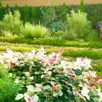 寿量山 速成寺の周辺