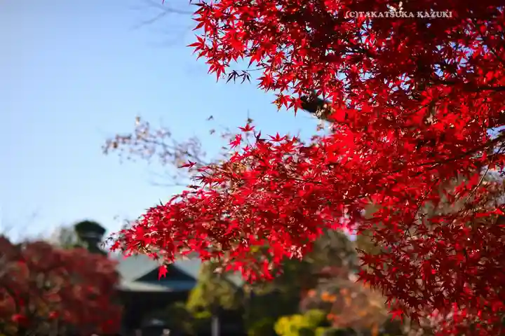 東漸寺(千葉県)