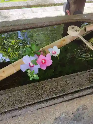 真正極楽寺（真如堂）の手水舎