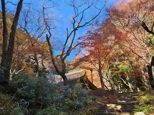 室生寺(奈良県)