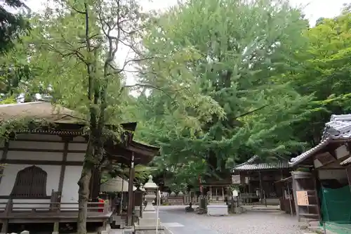 正法寺の建物その他