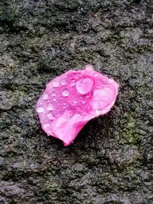 久富稲荷神社(東京都)