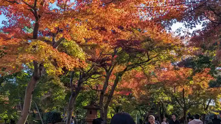 宝徳寺(群馬県)