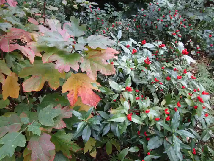 當麻寺中之坊(奈良県)