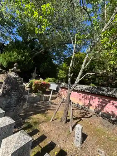 廣峯神社(兵庫県)