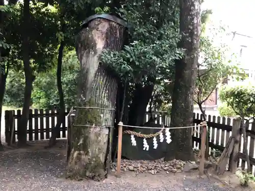 綱越神社（大神神社摂社）のその他建物
