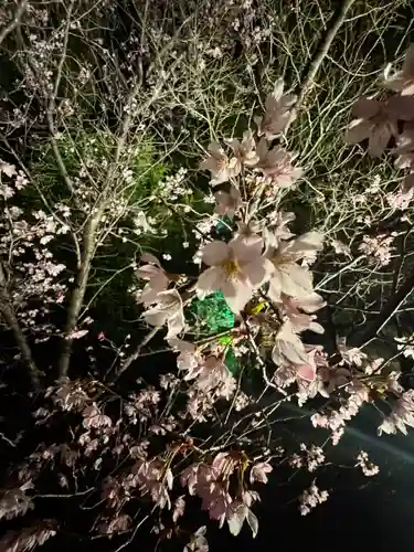 東寺（教王護国寺）の御朱印