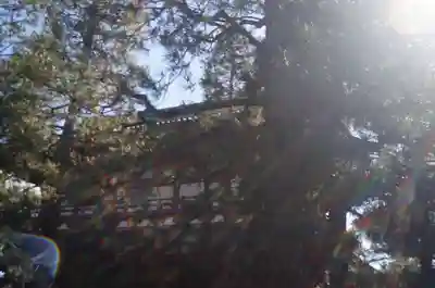 大徳寺(京都府)