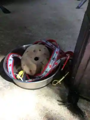 上目黒氷川神社(東京都)