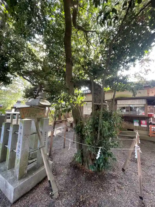 賀茂神社(滋賀県)