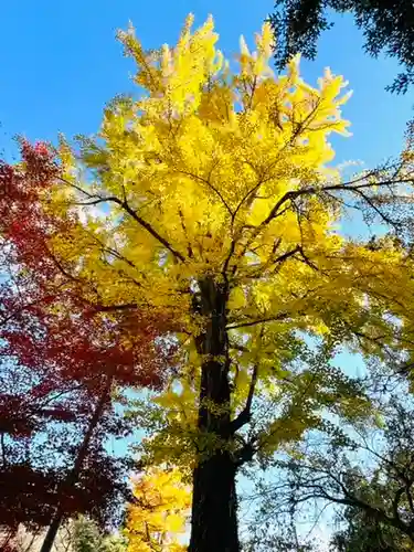 土津神社｜こどもと出世の神さまの庭園