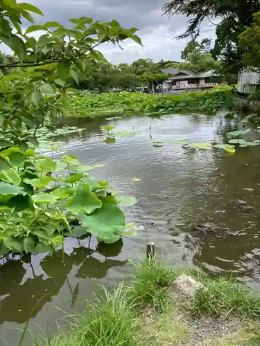 旗上弁財天社の景色