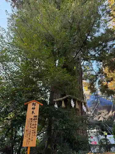 香取神宮(千葉県)