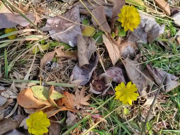 三春大神宮(福島県)
