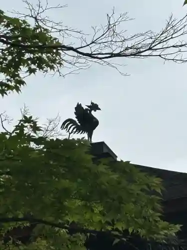 慈照寺（慈照禅寺・銀閣寺）(京都府)