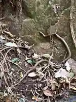 出釈迦寺奥の院 捨身ヶ嶽(香川県)