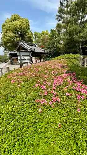 城南宮(京都府)