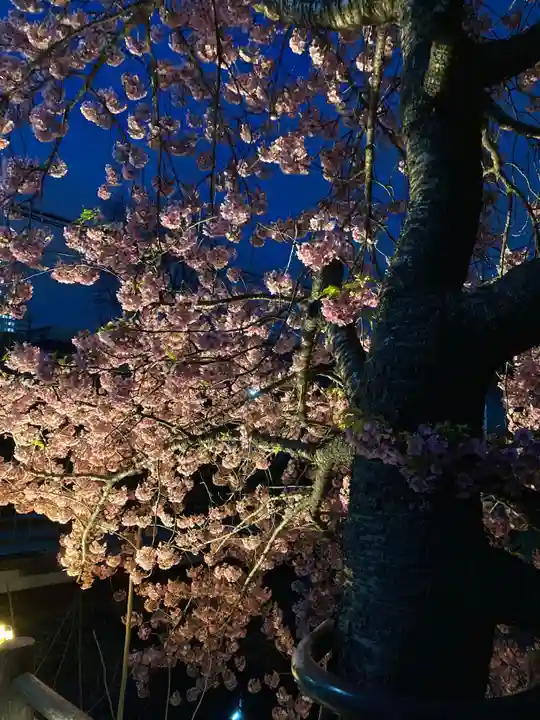 松戸神社(千葉県)
