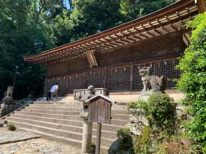 宇治上神社の本殿・本堂