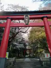 大宮八幡宮の鳥居