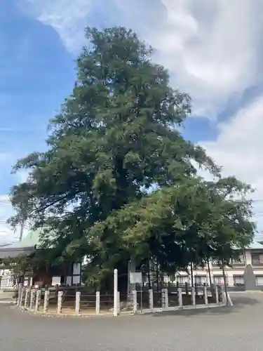 妙行寺(埼玉県)