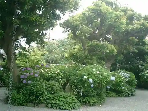 實相寺（実相寺）の庭園