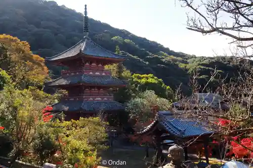 太山寺(兵庫県)