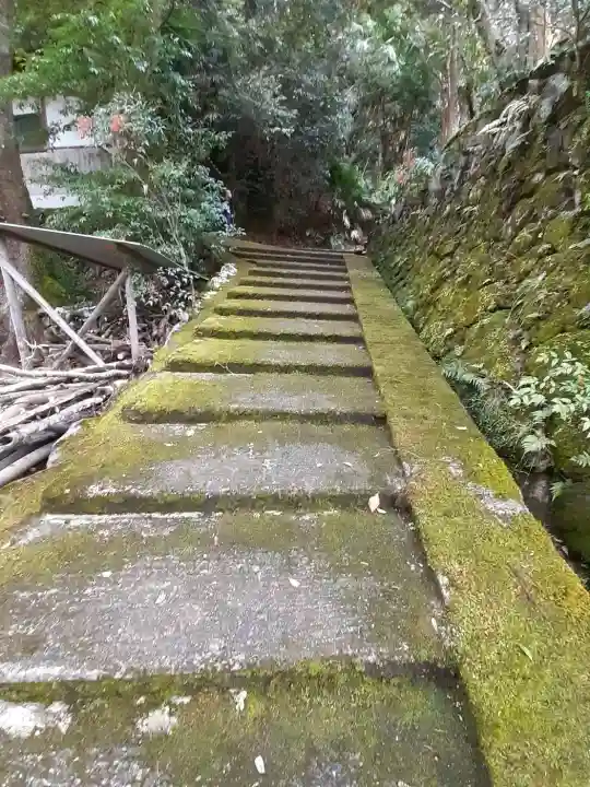 薬師寺の{uncategorized: "未分類", other: "その他", undefined: "問題あり", building: "その他建物", grave: "お墓", sacred_gate: "鳥居", guardian: "狛犬", statue: "像", buddha: "仏像", history: "歴史", nature: "自然", garden: "庭園", animal: "動物", pagoda: "塔", temizu: "手水舎", mountain_gate: "山門・神門", sanctuary: "本殿・本堂", subordinate: "末社・摂社", art: "芸術", scenery: "景色", jizo: "地蔵", ema: "絵馬", goshuin: "御朱印", omikuji: "おみくじ", items: "授与品その他", amulet: "お守り", goshuincho: "御朱印帳", eats: "食事", festival: "お祭り", votive_dance: "神楽", shichigosan: "七五三参", wedding: "結婚式", experience: "体験その他", initially: "初詣", around: "周辺", anti_infection: "感染症対策"}