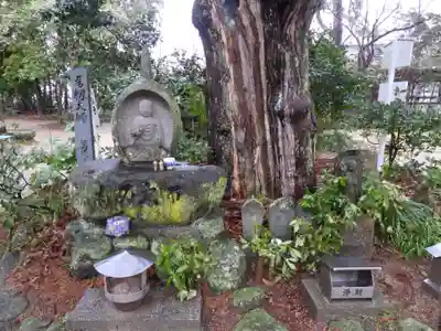浄瑠璃寺(愛媛県)