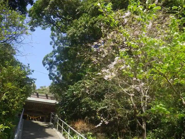 甘縄神明神社(甘縄神明宮)の自然