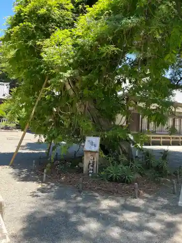 伊古奈比咩命神社(静岡県)