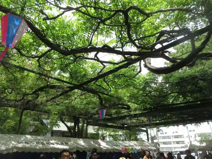國領神社の自然