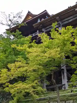 清水寺(京都府)