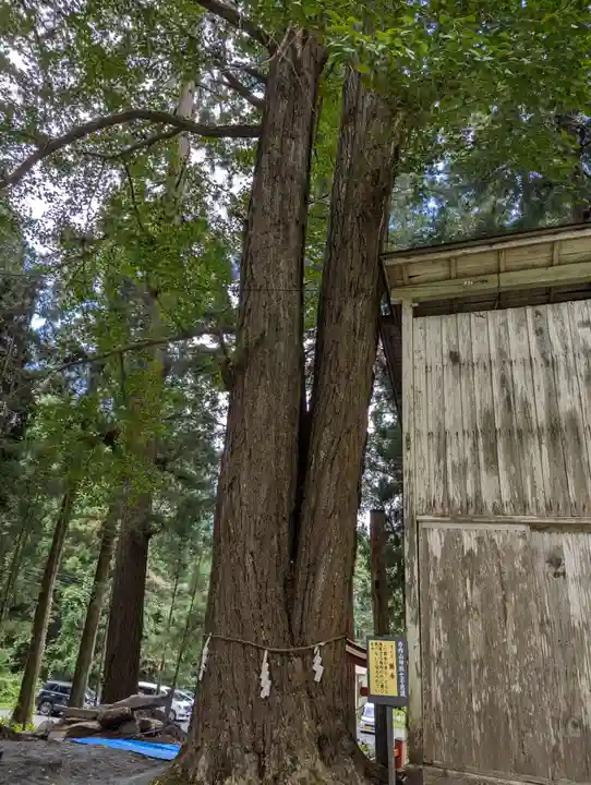 丹内山神社(岩手県)