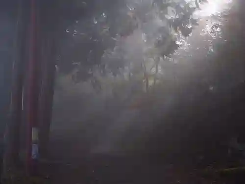 七面山敬慎院の自然