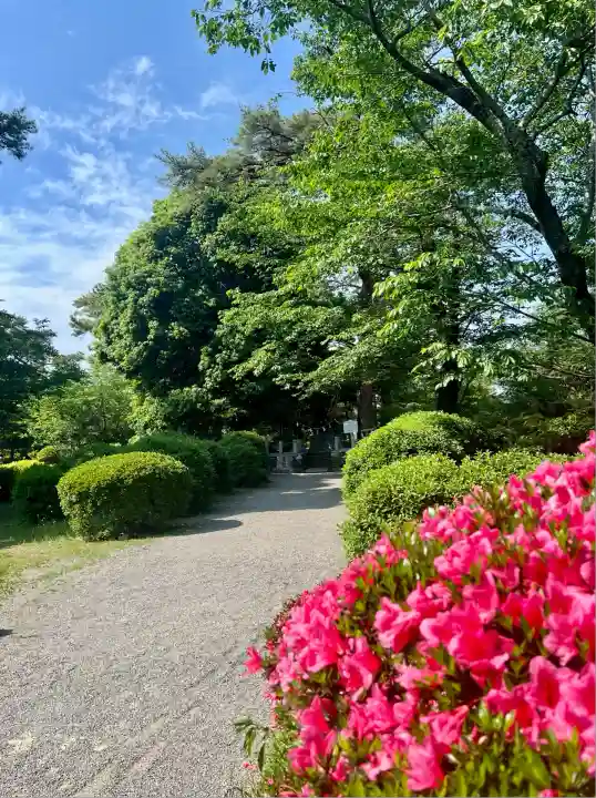 霊犬神社(静岡県)